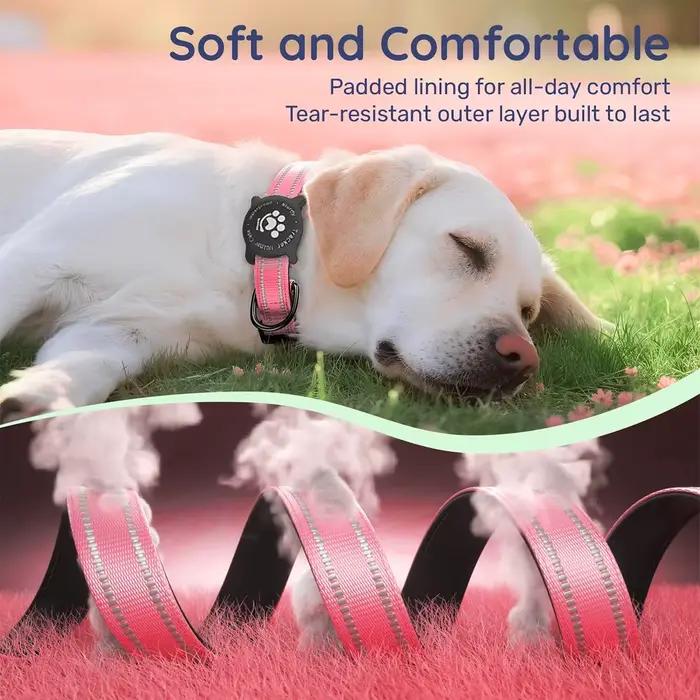 Collier réfléchissant pour chien Taakcc avec support AirTag lumineux