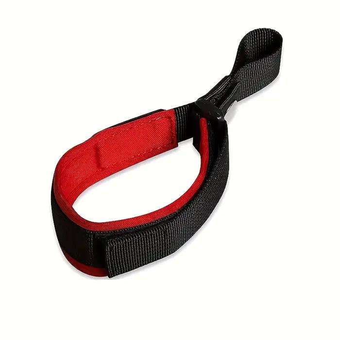Laisse rétractable automatique pour chiens