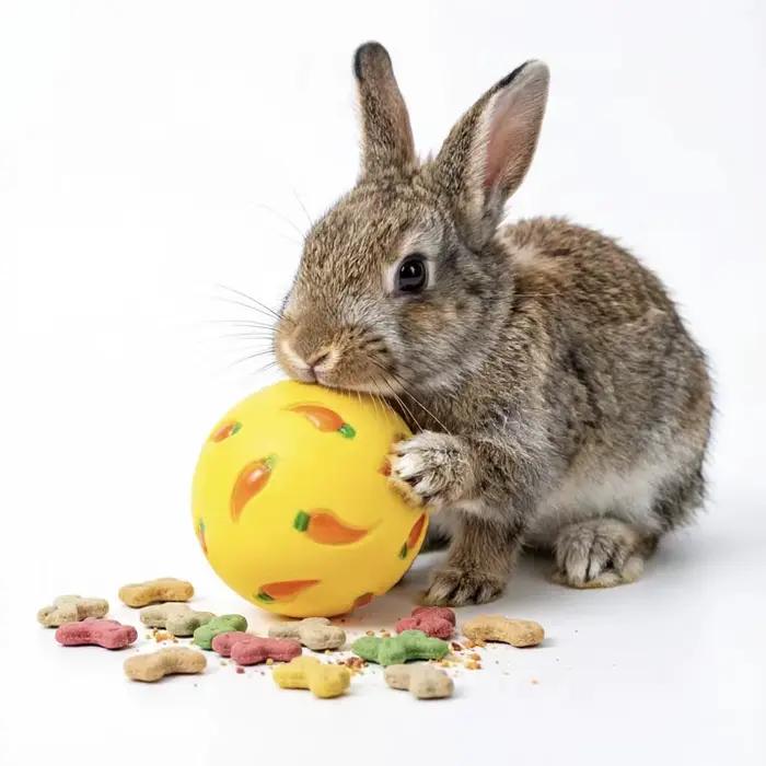Balle distributrice de nourriture interactive pour lapin