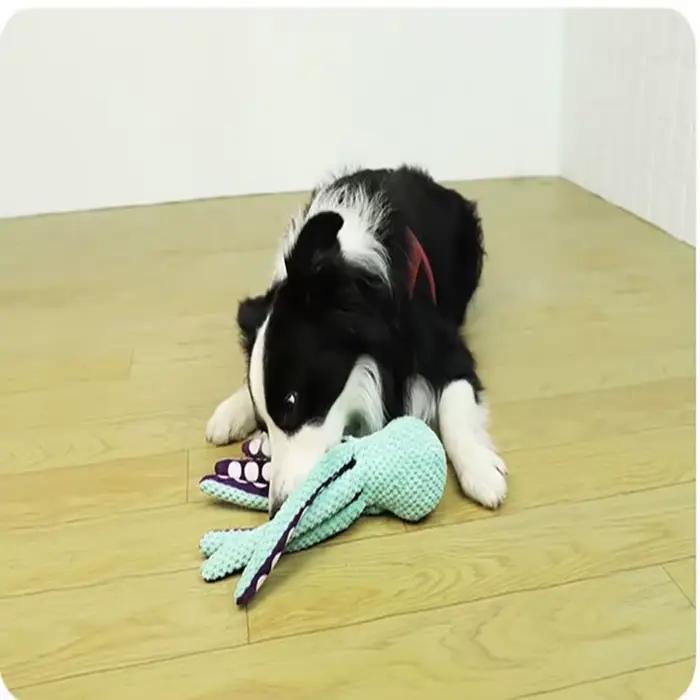 Jouet en peluche anti-démolition pour animal de compagnie