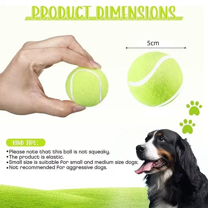 Balles de tennis pour chiens