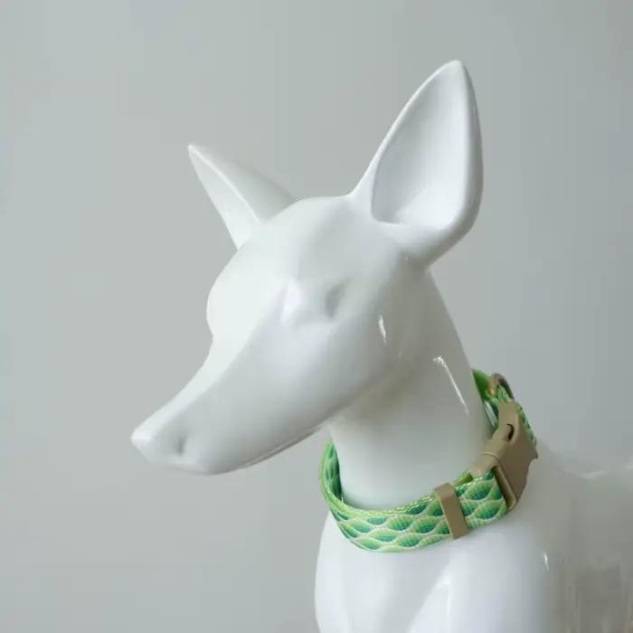 Collier de chien personnalisé réglable