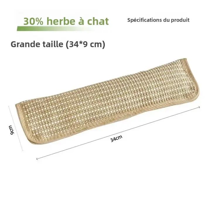 Coussin de jeu et griffoir pour chat pour le jeu individuel et l'interaction intime