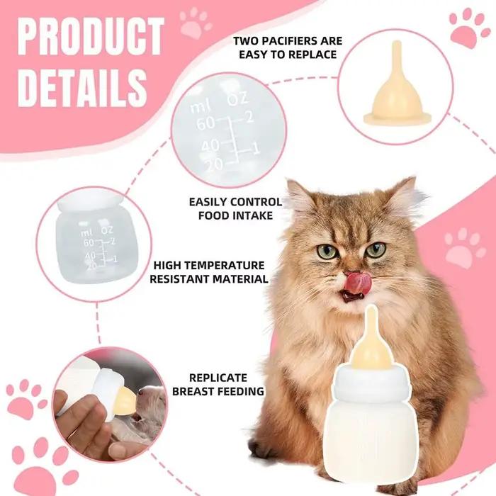 Mangeoire réutilisable pour chaton