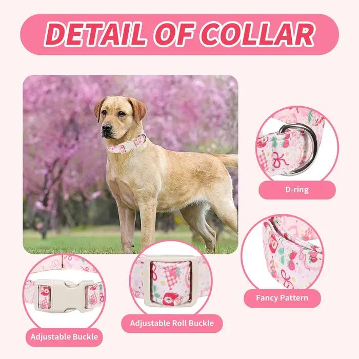 Collier anti-perte réglable et détachable pour chat et chien