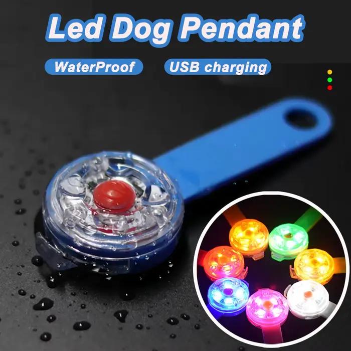 LED chien chat collier pendentif nuit sécurité