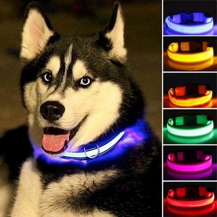 Collier Anti-perte pour chien à LED