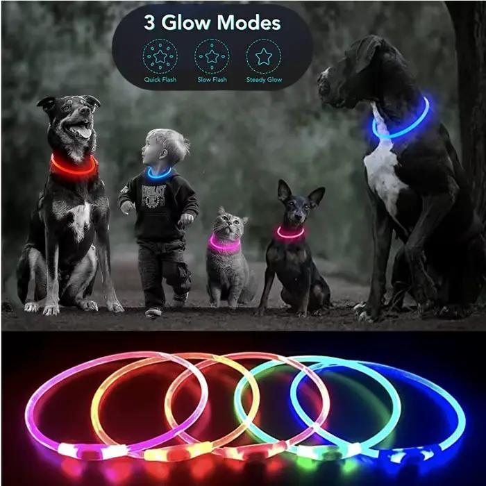Collier de chien lumineux