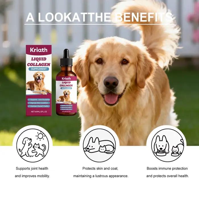 Gouttes nutritionnelles au collagène pour chien – Soutien articulaire