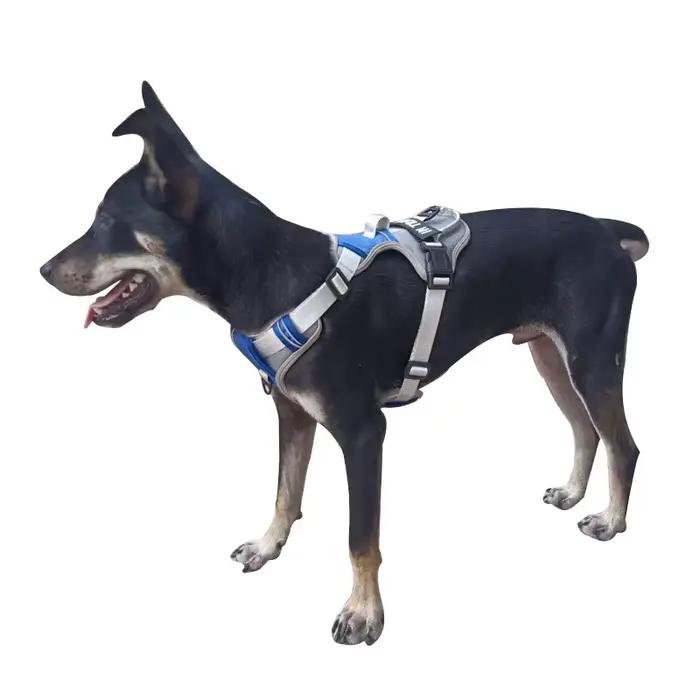 Harnais Anti-perte personnalisable pour chien