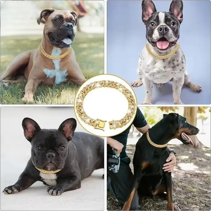 Collier en chaîne pour chien
