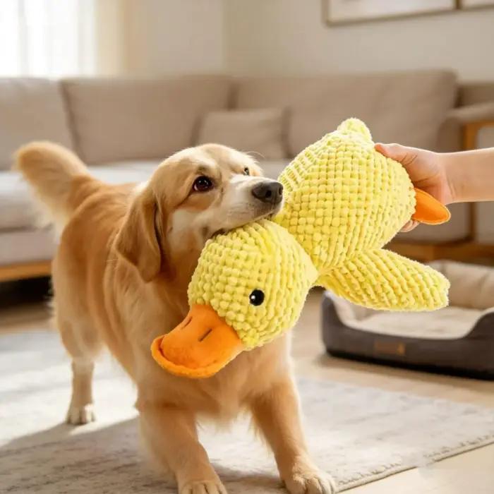 Jouet en peluche pour chien en forme de canard