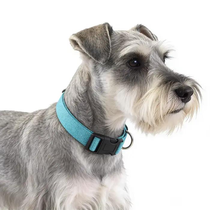 Collier pour chien en nylon réglable de qualité supérieure