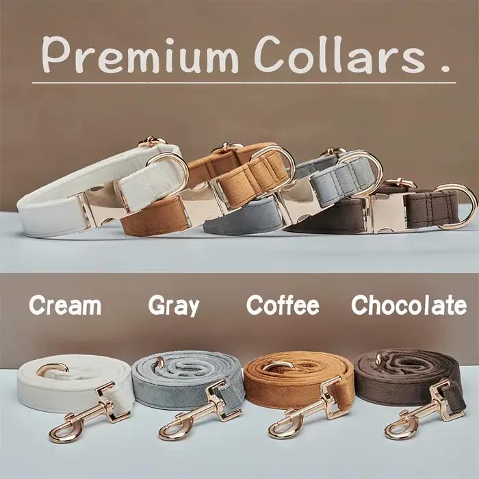 Collier pour chien, anneau de cou pour chat