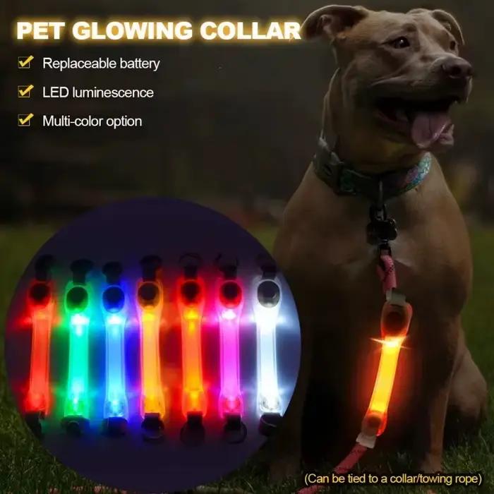 Collier harnais de sécurité pour chien de compagnie