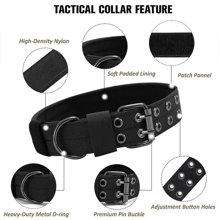 Collier tactique pour chien