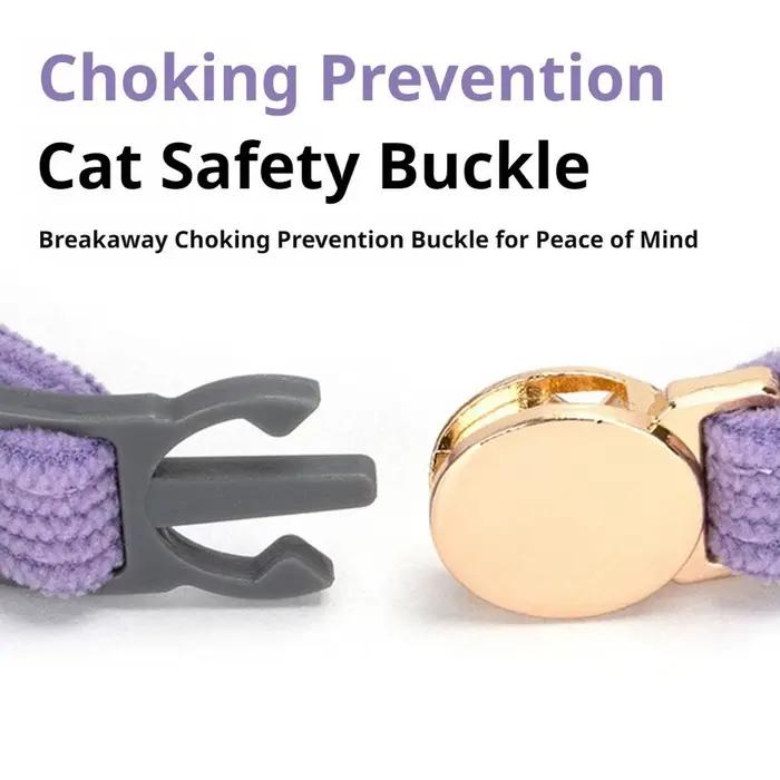 Collier personnalisé pour chat