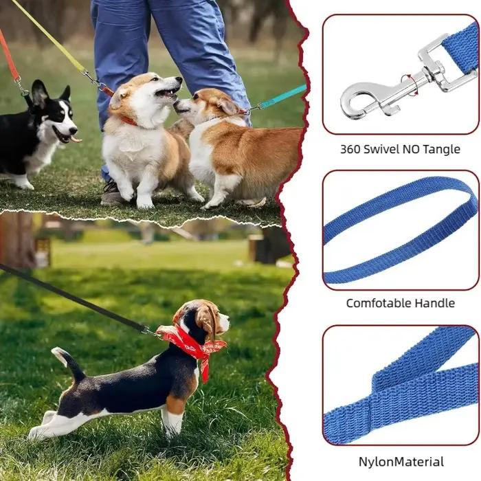Laisse d'entraînement multi-tailles pour chien