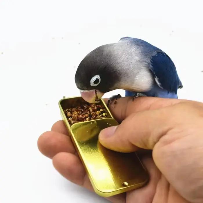 Pot de nourriture d'entraînement pour oiseaux