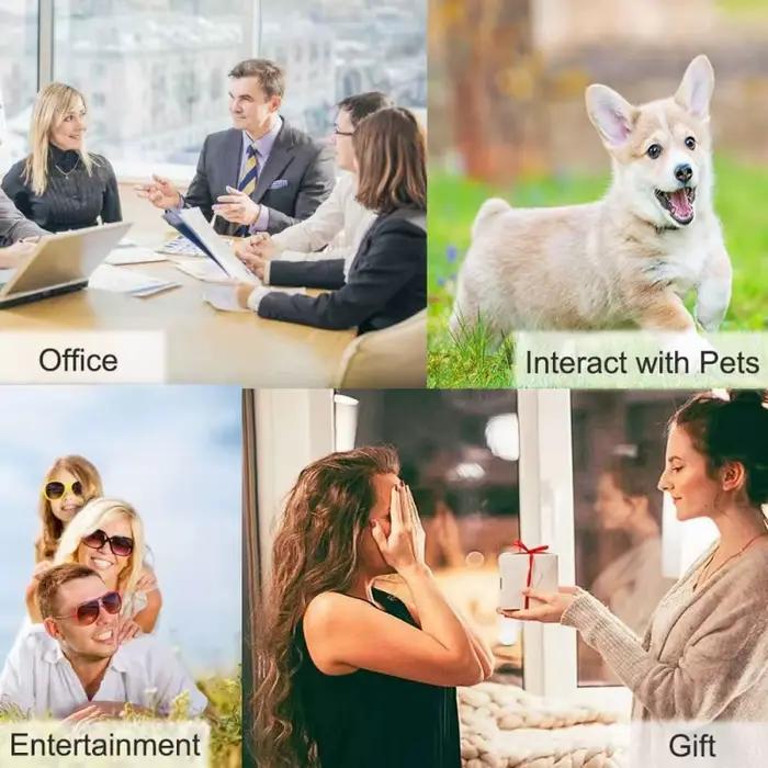Bouton Statique de Communication pour Chien