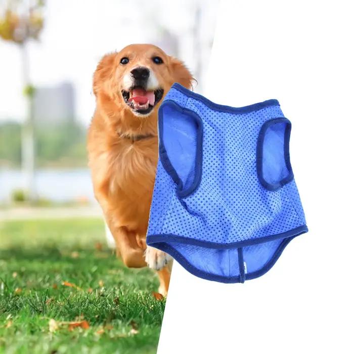 Glace rafraîchissante pour chien