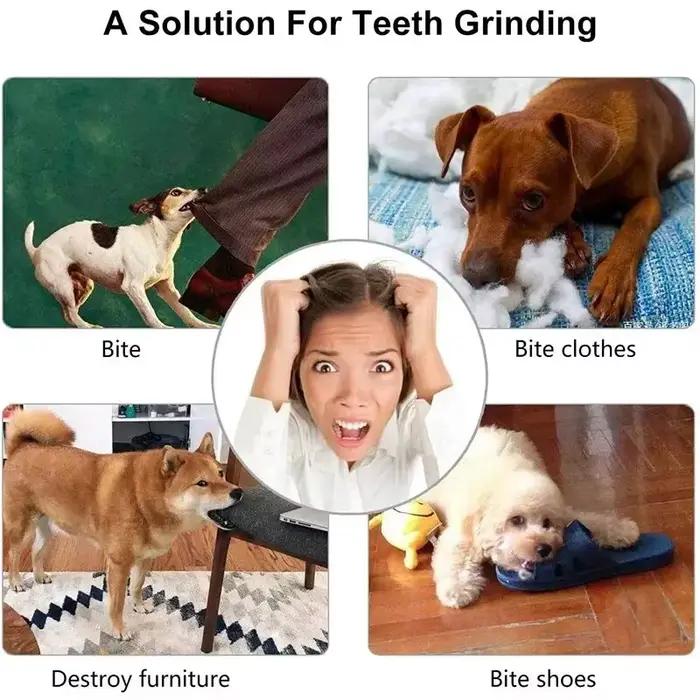 Balle de jeu pour chien