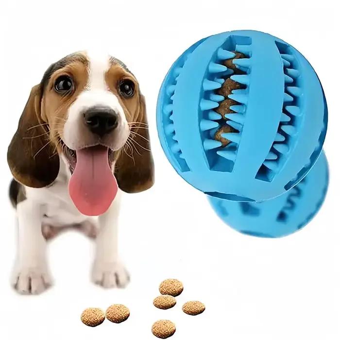 Jouets pour chiens, enrichissement des petits animaux de compagnie