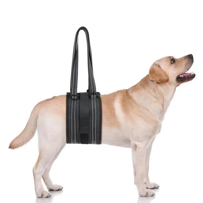 Artificiel évateur réglable SFP pour chien