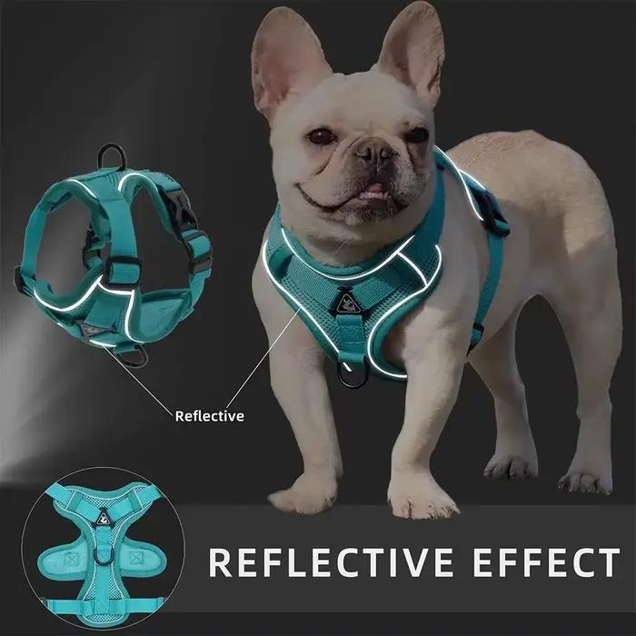 Ensemble harnais et laisse pour chien sans traction