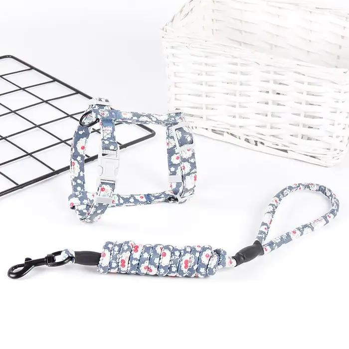 Collier pour chien, harnais