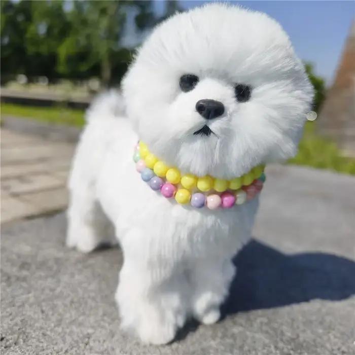 Collier pour chiens, chaîne d'extension