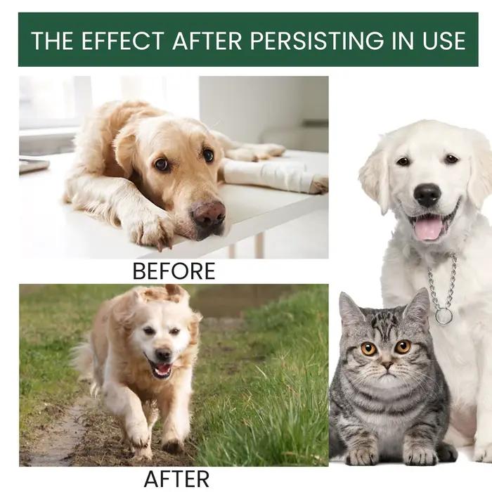 Gouttes de soins articulaires pour chien