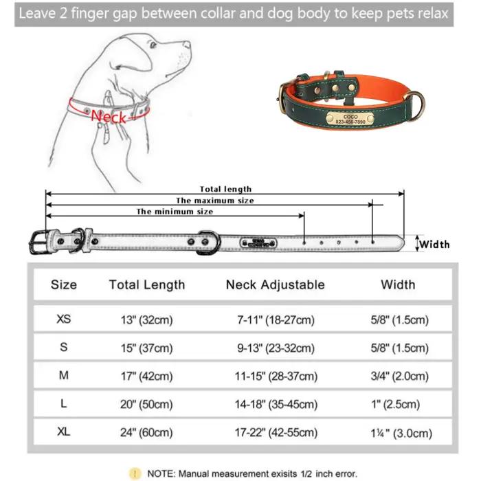 Collier pour chien personnalisé en cuir avec plaque d'identification