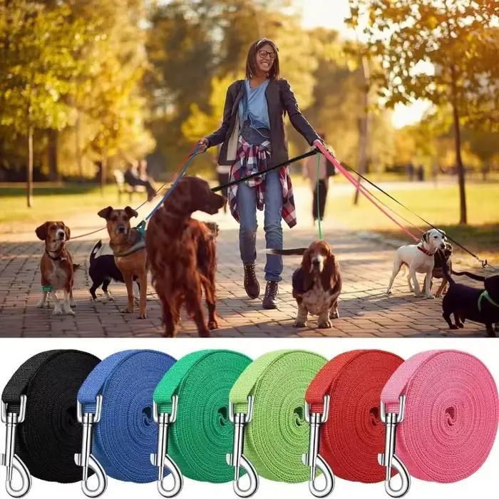 Laisse solide pour chiens de grande taille