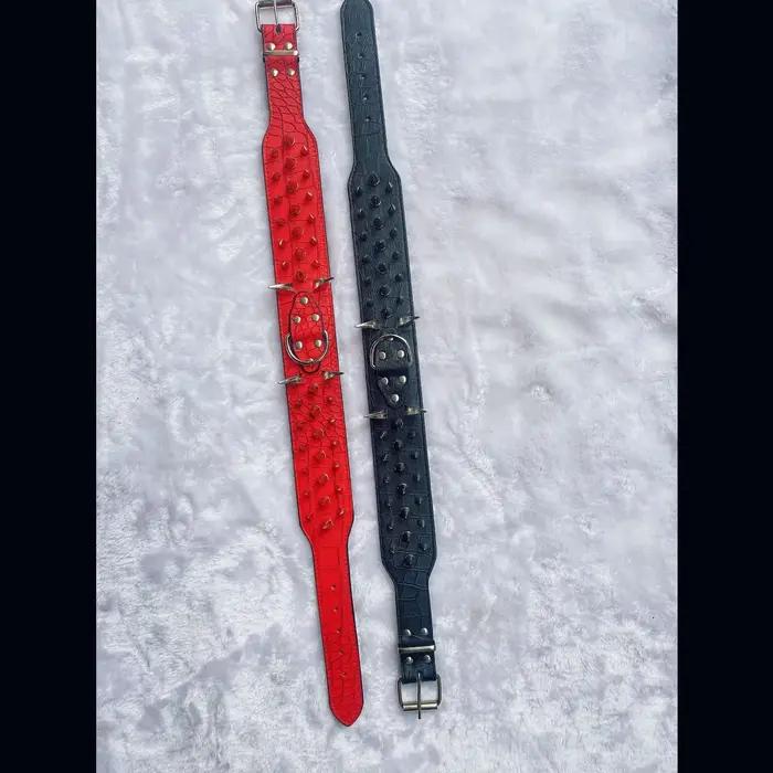 Collier pour chien de grande et moyenne taille