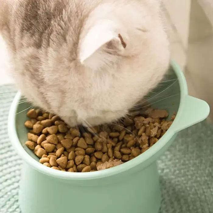 Gamelle inclinée pour animaux de compagnie avec protection du cou