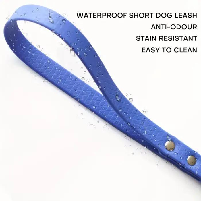 Laisse courte pour chien