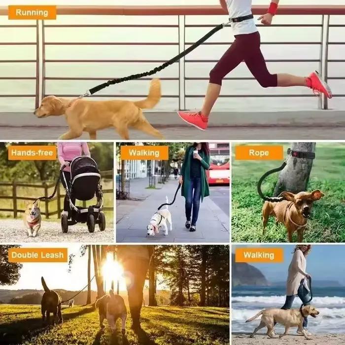 Laisse de chien mains libres pour animaux de compagnie marche course Jogging