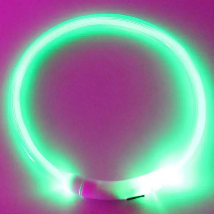 Collier de chien à lumière LED