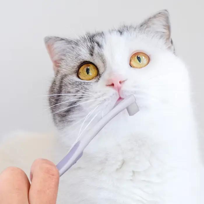 Brosse à dents pour chien
