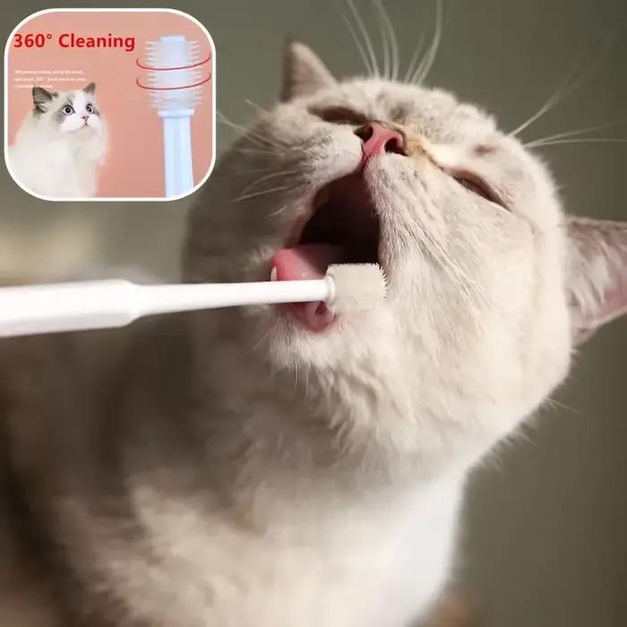 Brosse à dents pour chat