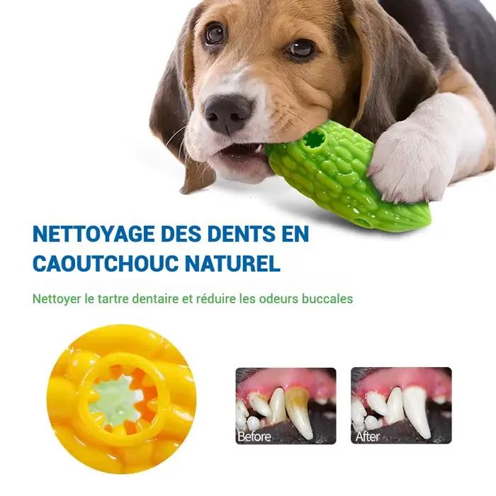 Jouets de fuite de nourriture pour chiens