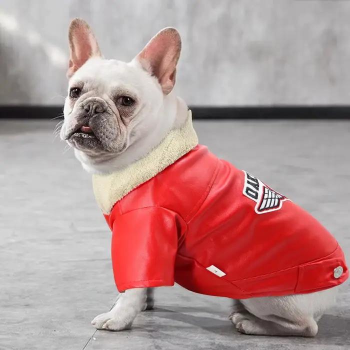 Veste en cuir pour chien Cool
