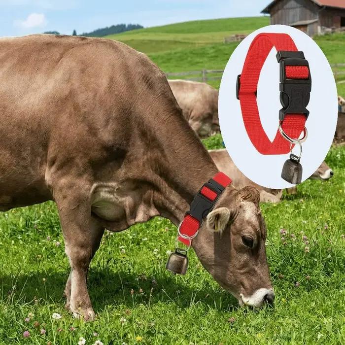 Collier réglable anti-perte pour animaux de compagnie avec boucle à dégagement rapide et clochette