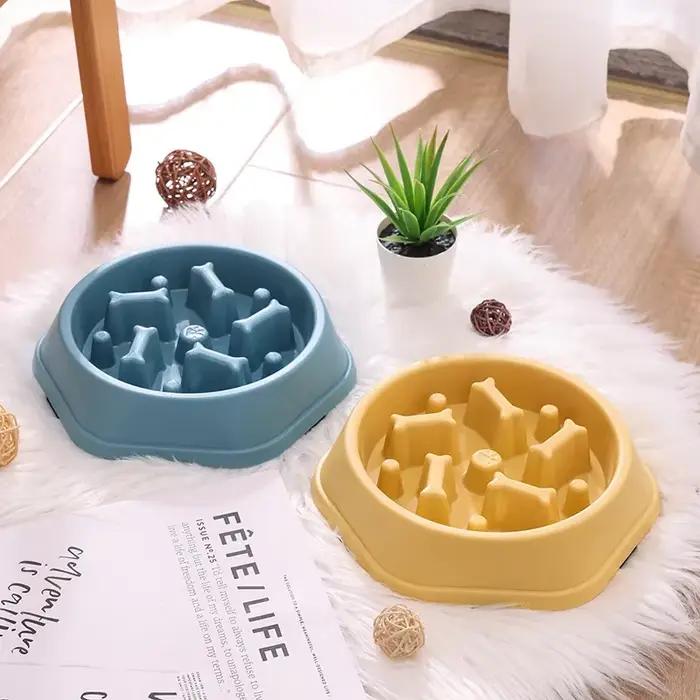 Bol de nourriture lente pour chien et chat
