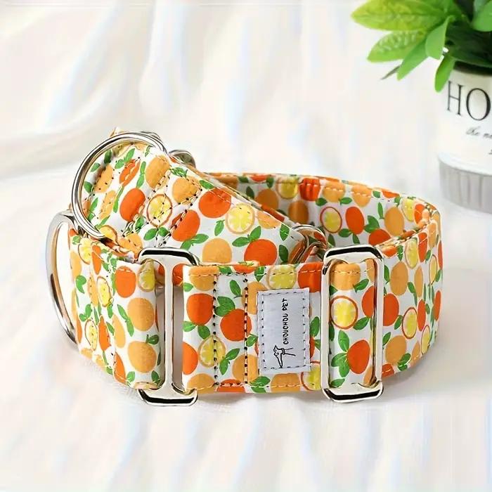 Martinagle Collier pour chien large et réglable