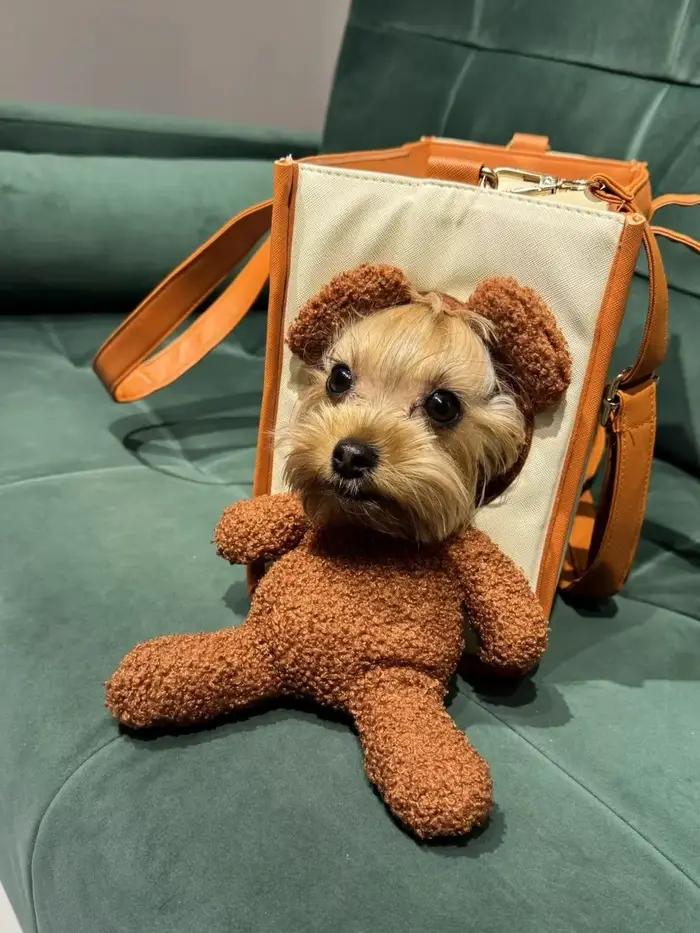 Sac de transport créatif pour animaux de compagnie