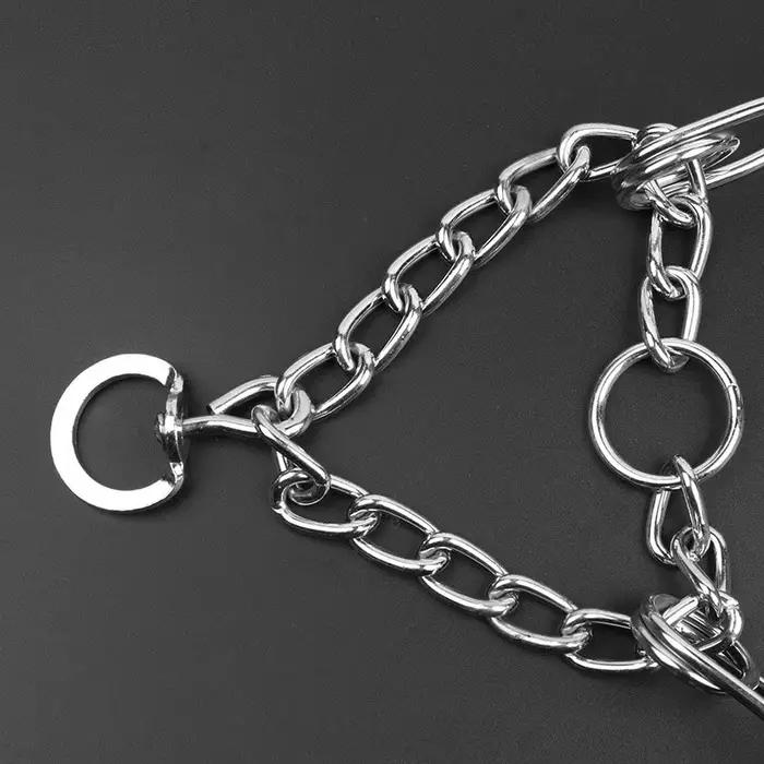 Collier d'entraînement Anti-traction pour chien
