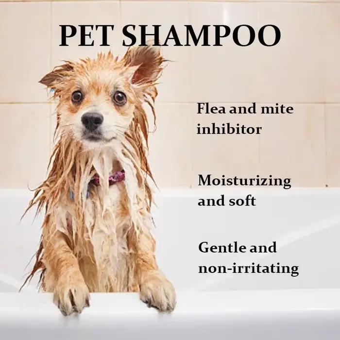 Shampoing apaisant pour chiots à l'avoine pour peaux sensibles