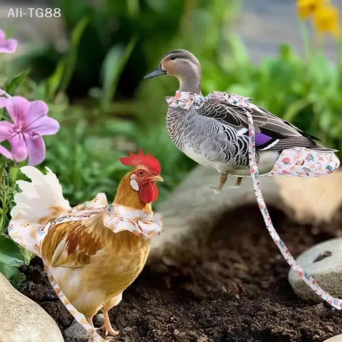 1/2 Pièces Ensemble de laisse de traction pour animaux de compagnie
